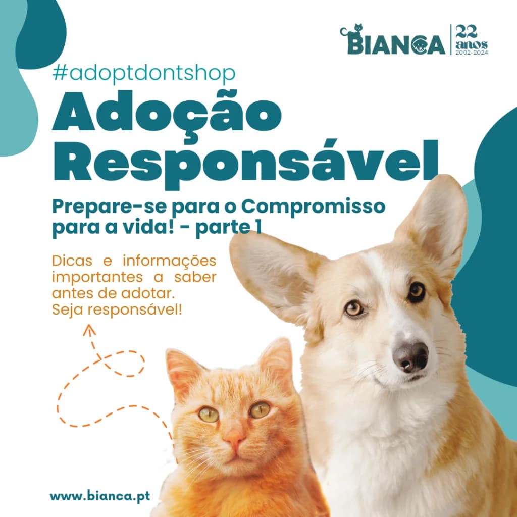 Adoção Responsável: Prepare-se para o Compromisso