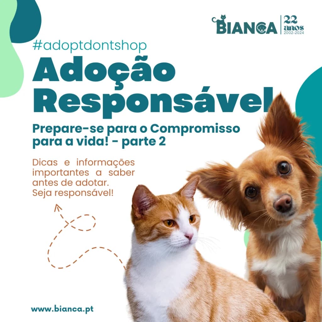 Adoção Responsável: Prepare-se para o Compromisso – parte 2