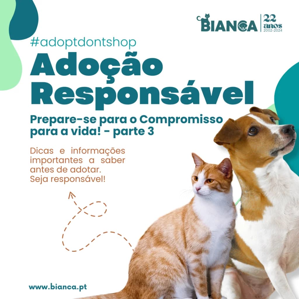 Adoção Responsável: Prepare-se para o Compromisso – parte 3
