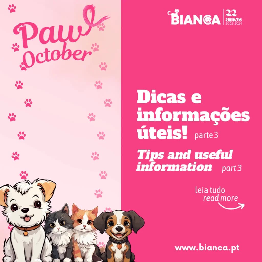 Paw October – O Que Fazer em Caso de Cancro