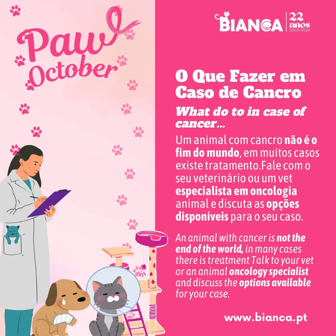 Paw October – O Que Fazer em Caso de Cancro photo 2