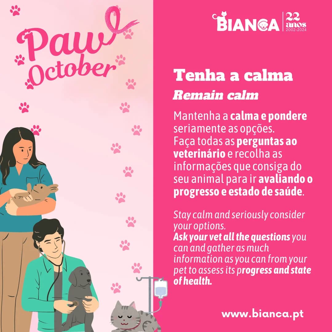 Paw October – O Que Fazer em Caso de Cancro photo 3