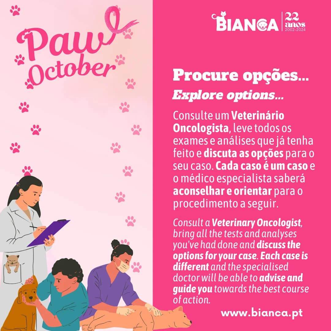 Paw October – O Que Fazer em Caso de Cancro photo 4