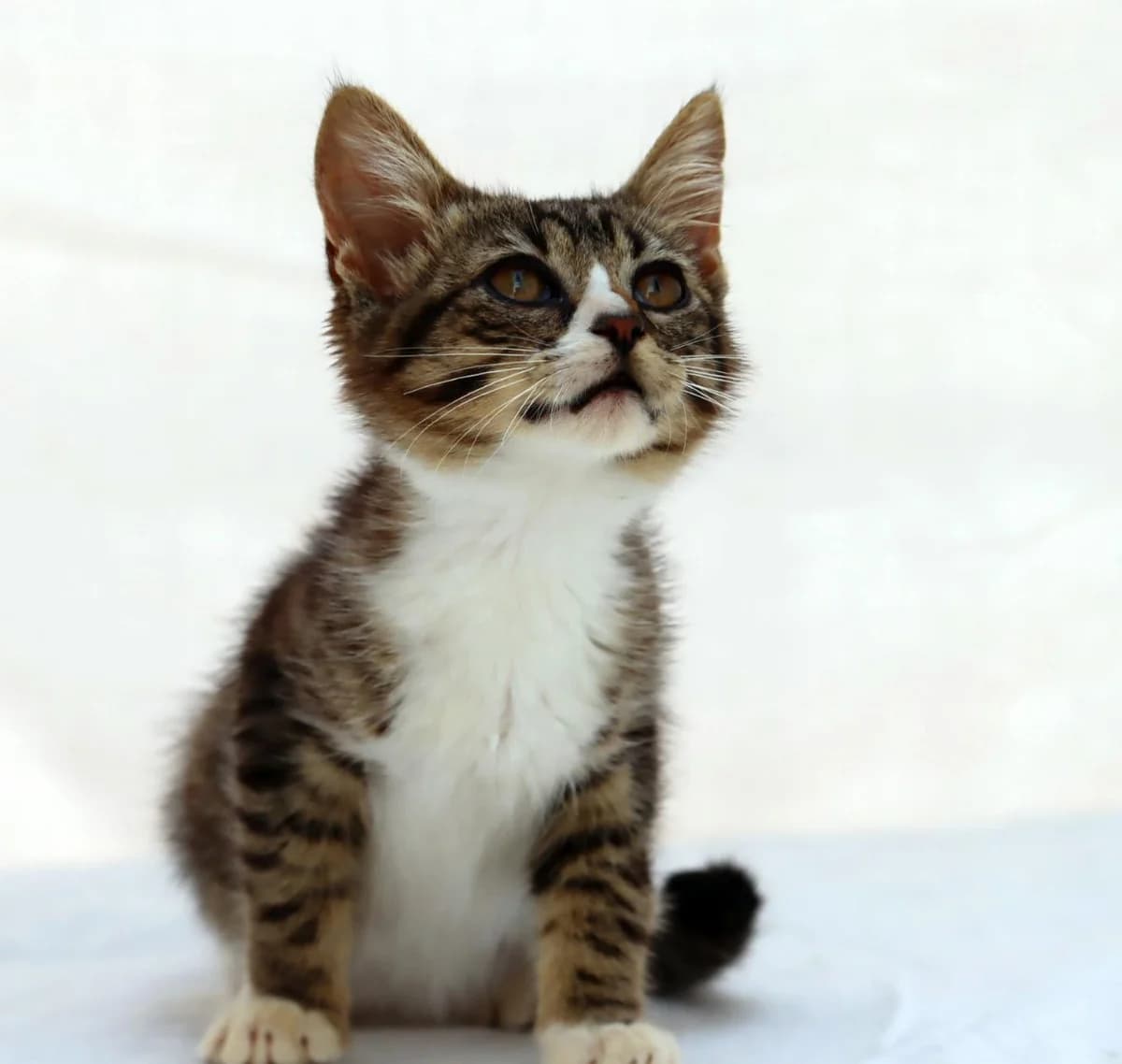 Kim – Reservado photo 3