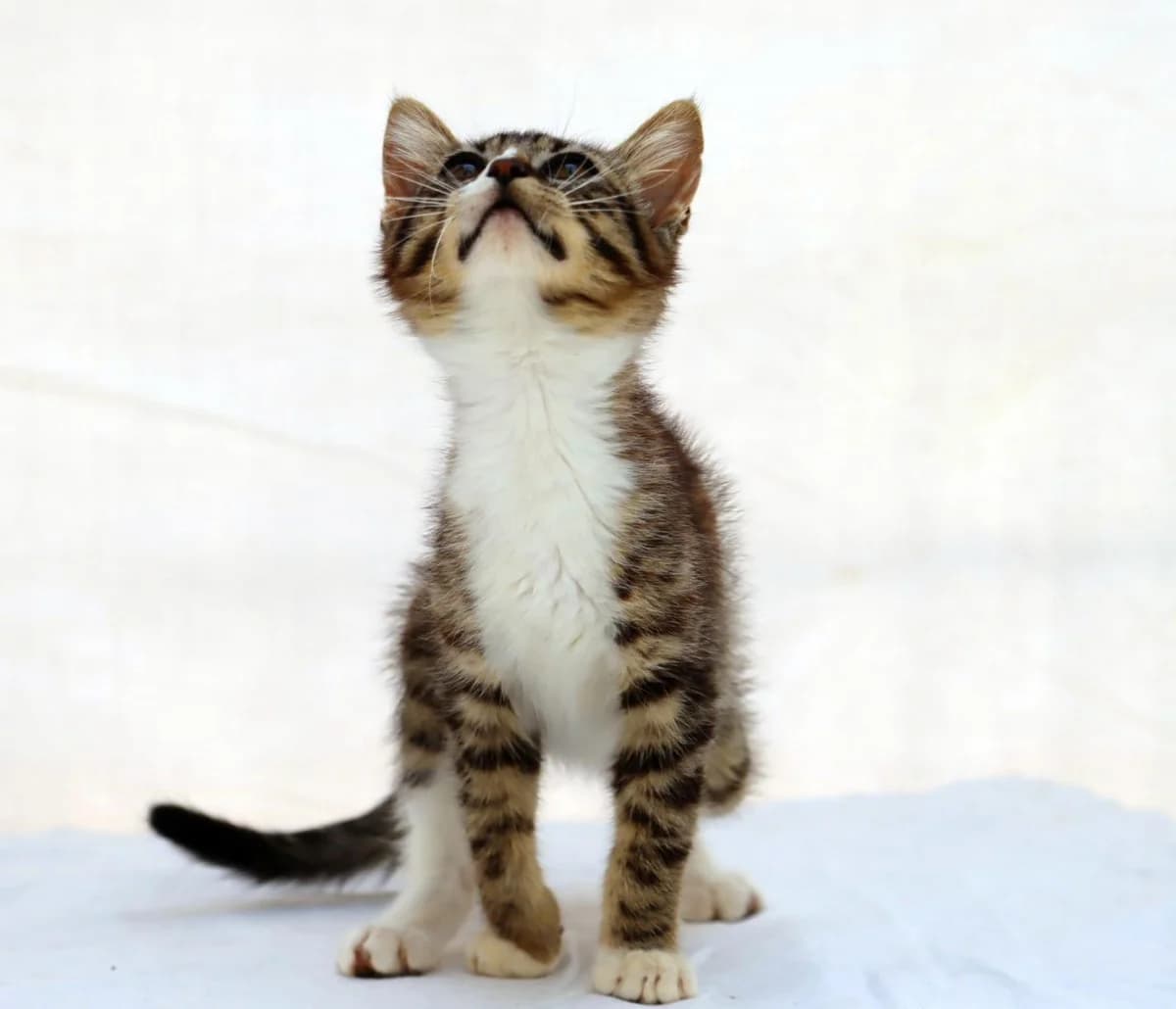 Kim – Reservado photo 4