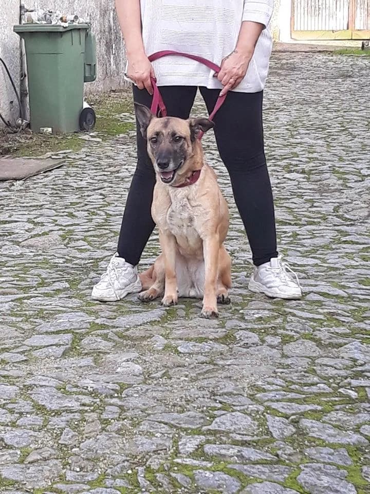 PETIFYC10077 photo 7