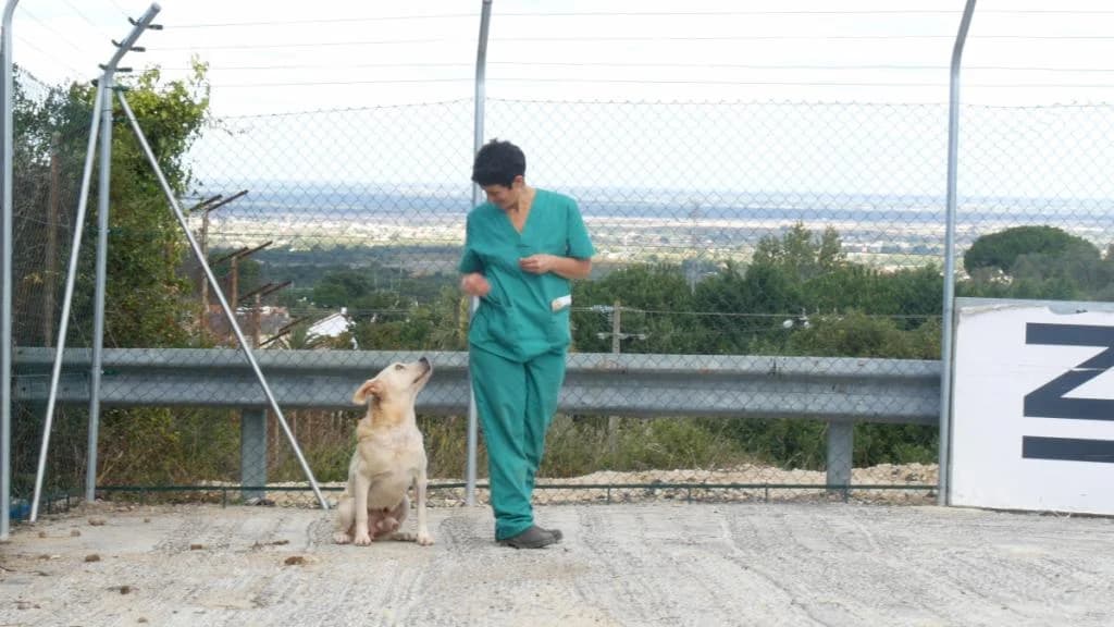 PETIFYC10103 photo 6