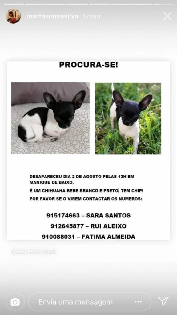 PETIFYC10117 photo 7