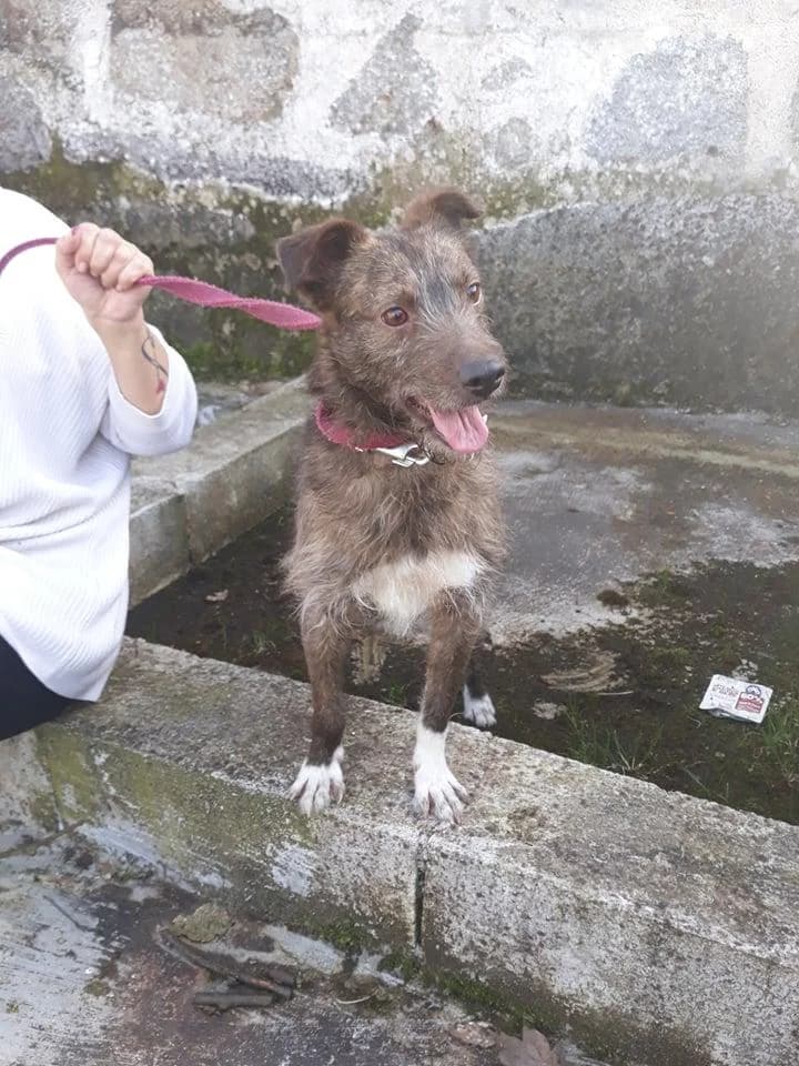 PETIFYC10204 photo 7