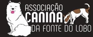 PETIFYC10298 photo 5