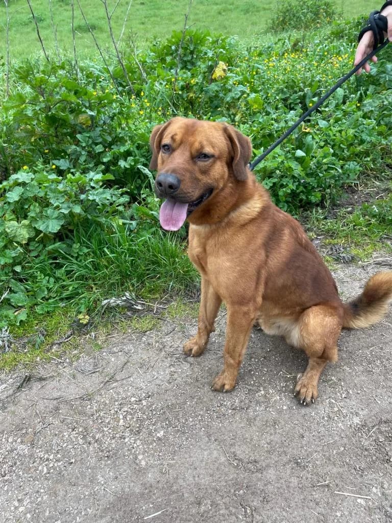 PETIFYC10369 photo 8