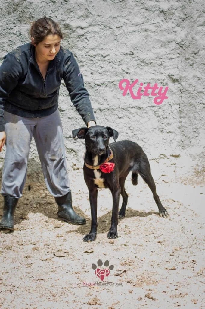 PETIFYC10472 photo 7