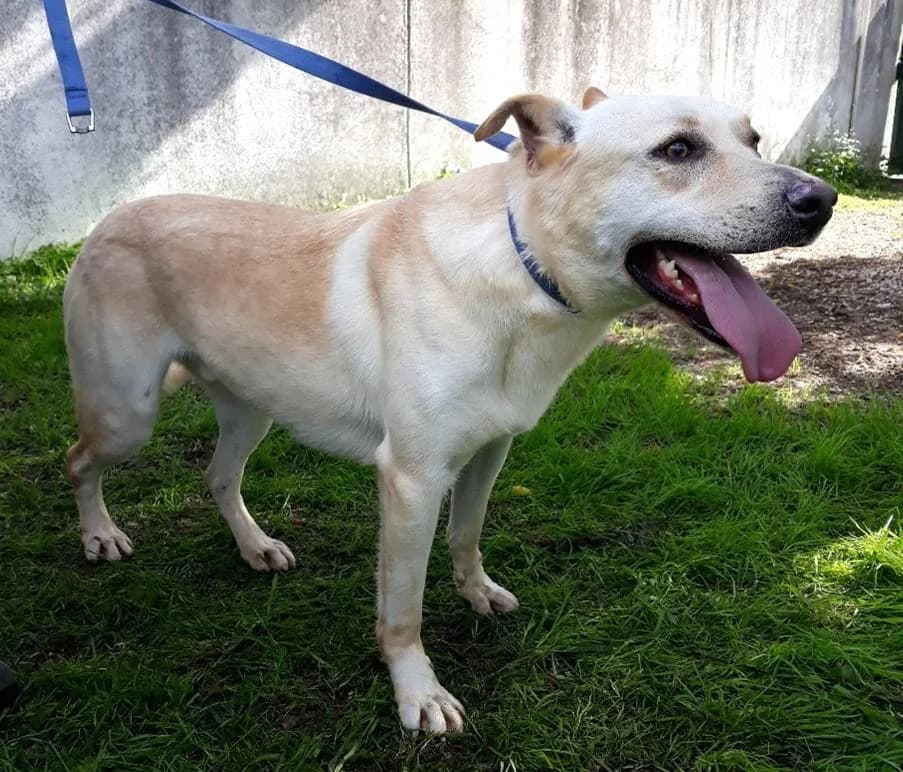 PETIFYC10474 photo 3