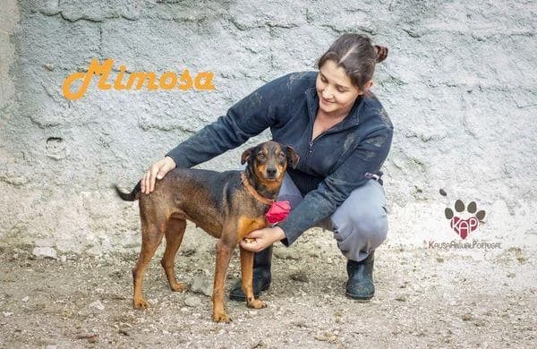 PETIFYC10478 photo 8