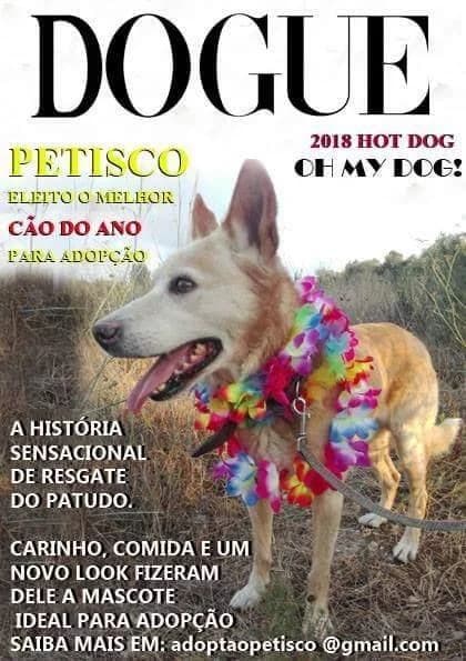 PETIFYC10467 photo 8