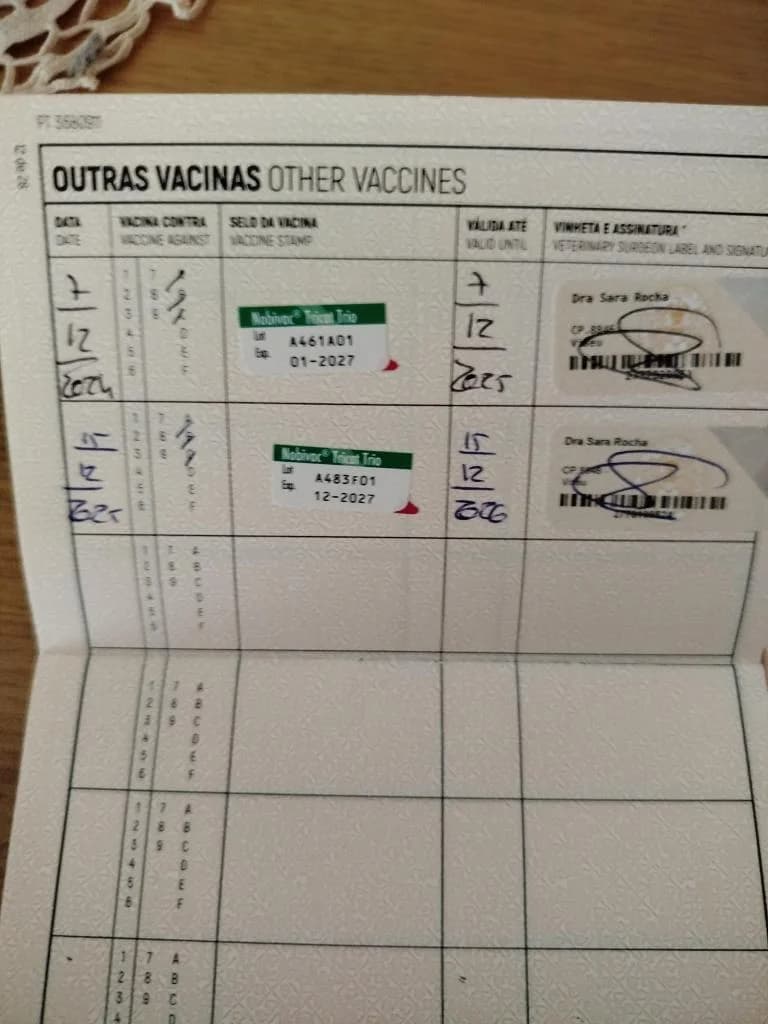 PETIFYG11383 photo 7