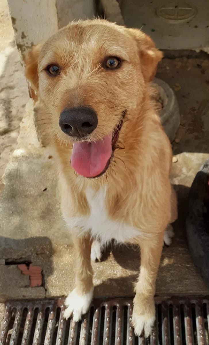 Ruca,  (Abrigo Associação)