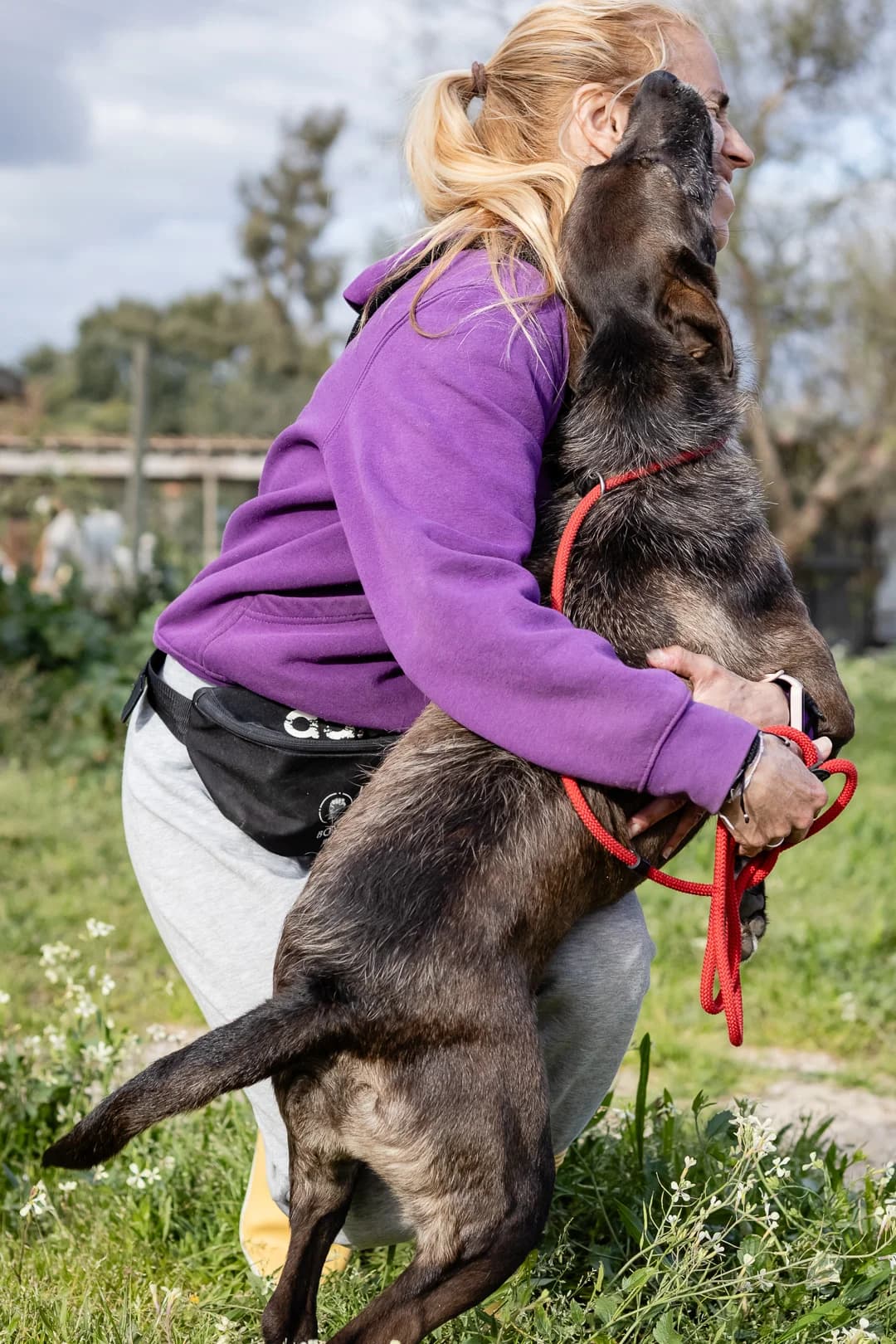 JAZZ, Castanho male 4yo Mixed Breed for adoption at O Cantinho da Milu, Lisbon