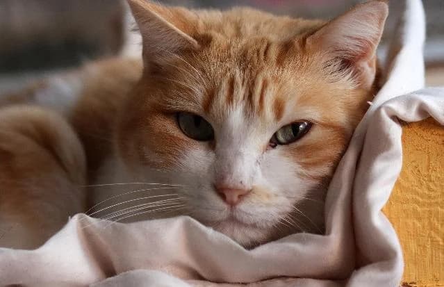 Sabina  - 15 ano(s) e