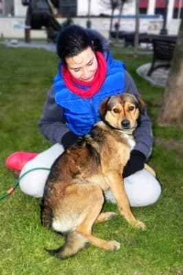 Rexut, male Mixed Breed for adoption at Asociatia ROBI / 4animals.ro