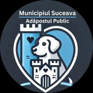pip, Mixed Breed (Adăpostul Public Municipiul Suceava)