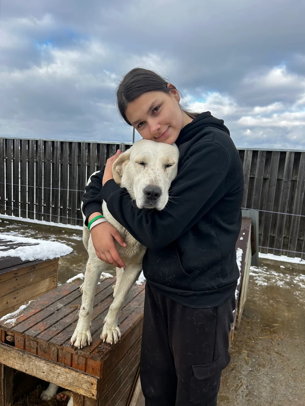Nala, female 4yo Mixed Breed for adoption at Dumbrava lui Patrocle