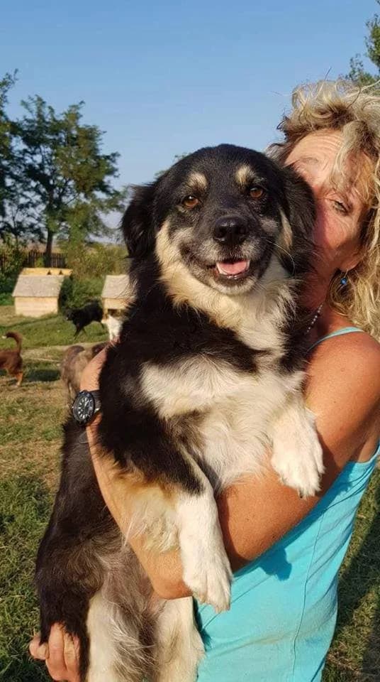 Lucica,  Mixed Breed for adoption at GreenDog — A Better Life Dog Rescue