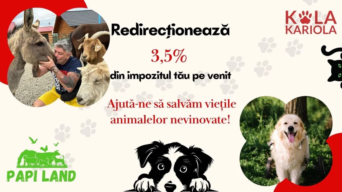 Griuța, female Mixed Breed for adoption at Kola Kariola