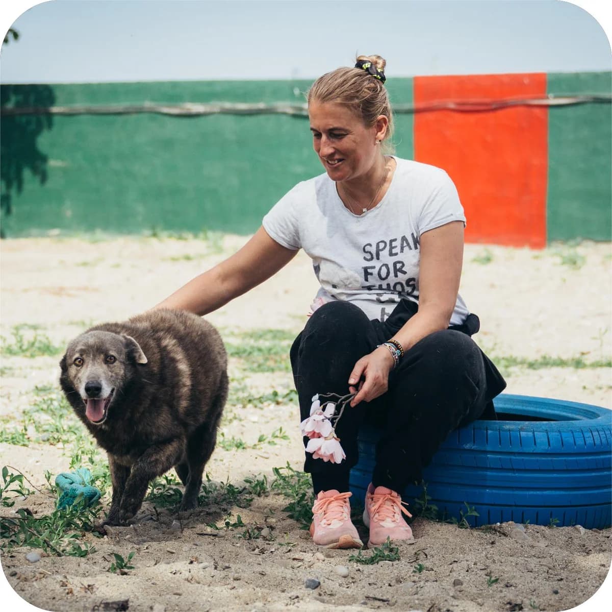 Griuța, female Mixed Breed for adoption at Kola Kariola — photo 4 of 6