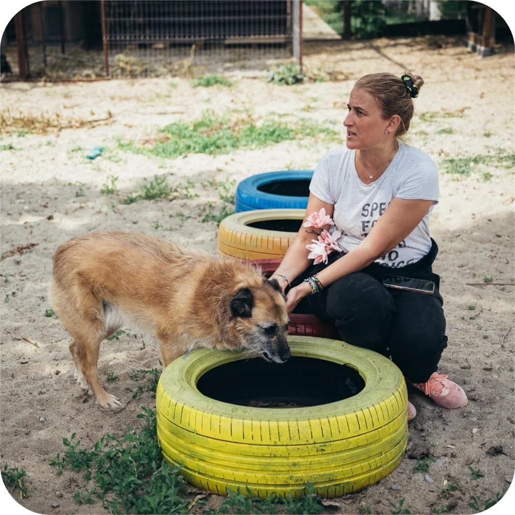 Honey, female Mixed Breed for adoption at Kola Kariola — photo 5 of 8