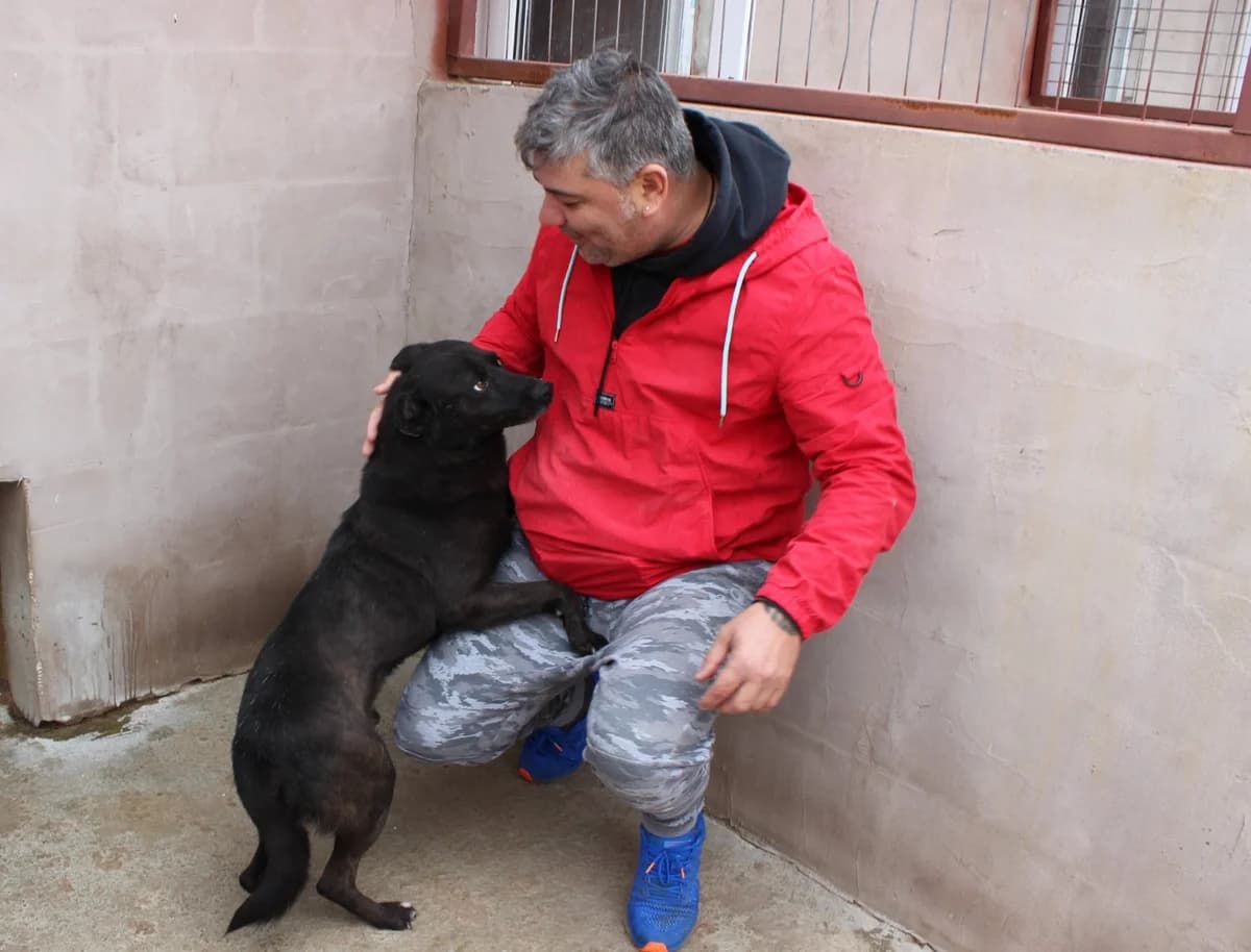 Jean, male Mixed Breed for adoption at Kola Kariola — photo 5 of 5