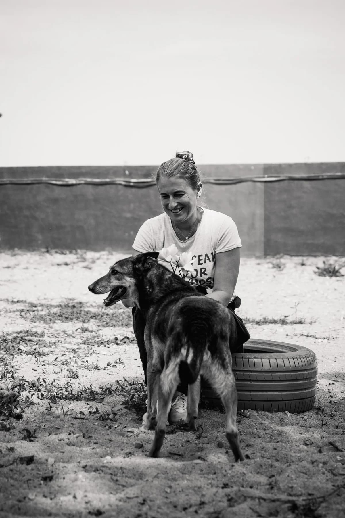 Lupicu, male Mixed Breed for adoption at Kola Kariola — photo 3 of 6