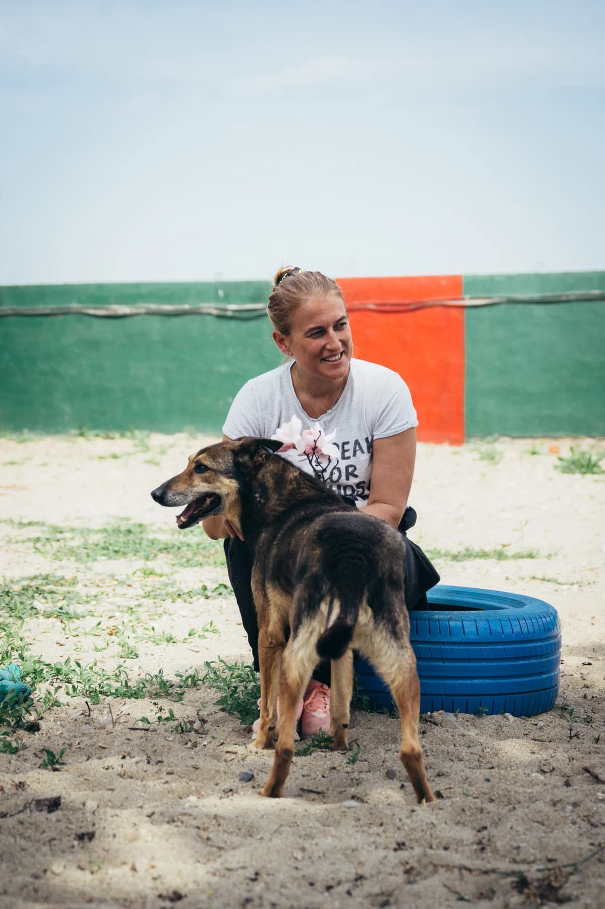 Lupicu, male Mixed Breed for adoption at Kola Kariola — photo 4 of 6