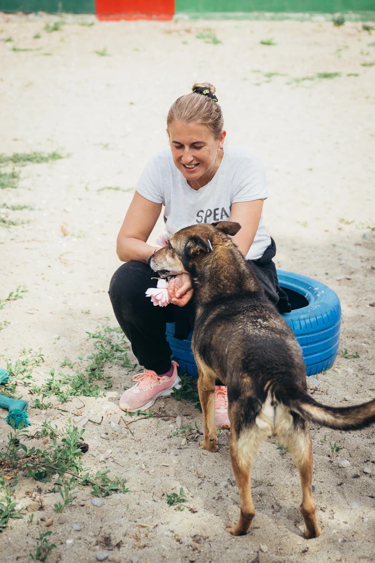 Lupicu, male Mixed Breed for adoption at Kola Kariola — photo 5 of 6