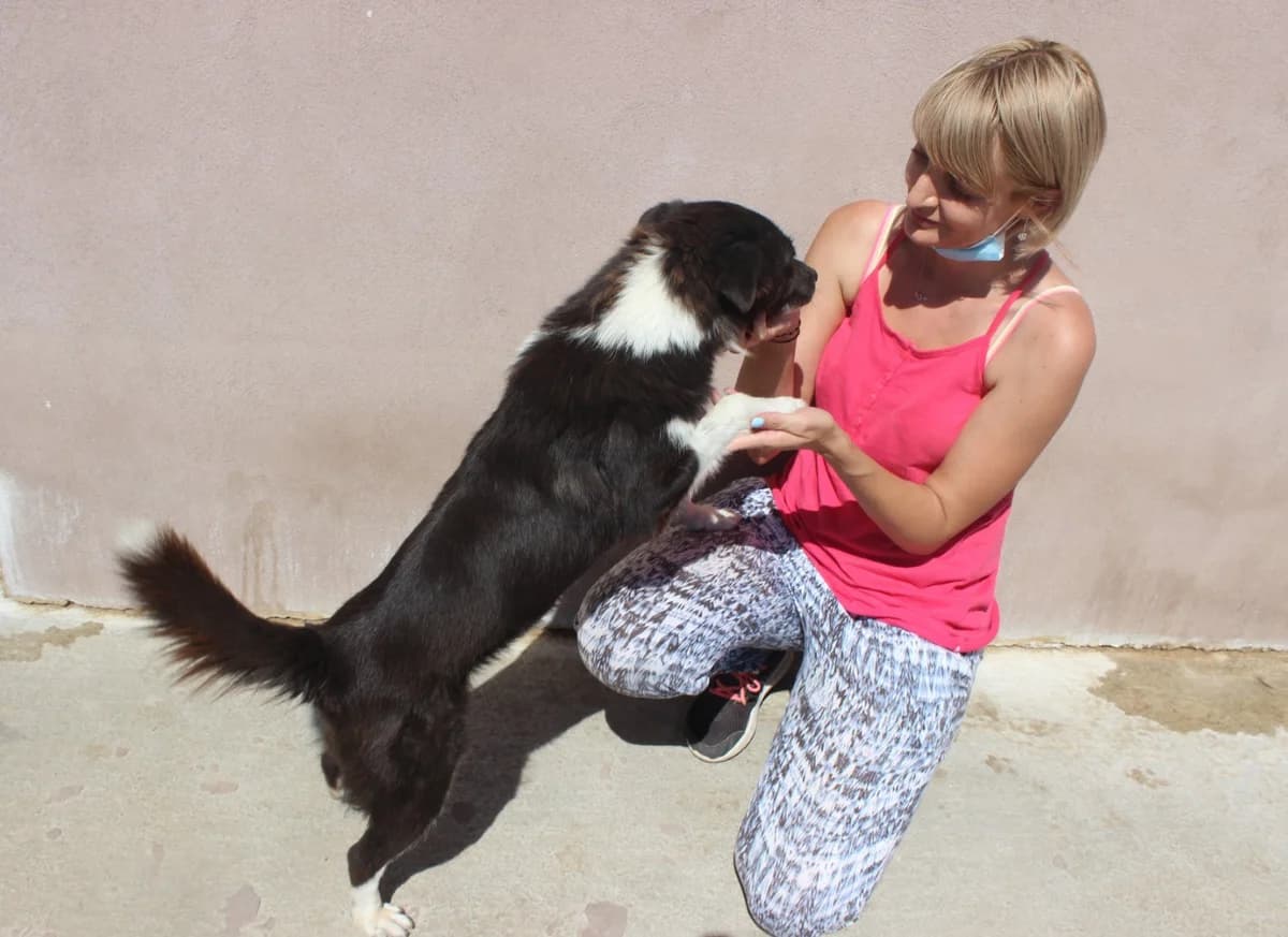 Mina, female Mixed Breed for adoption at Kola Kariola — photo 4 of 8