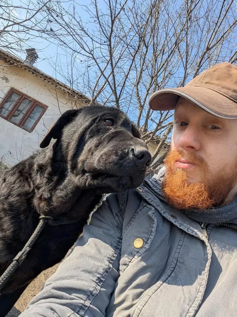 BRUNO, male Labrador Retriever for adoption at No Limit Pets, Romania