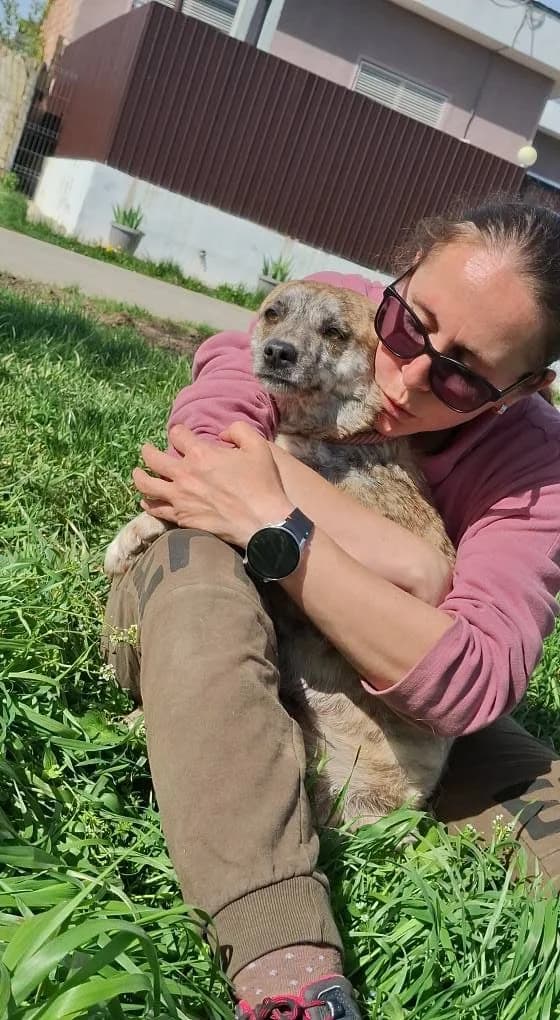 CANDY 6358 – ADOPTATA, female mixed breed for adoption at No Limit Pets, Romania
