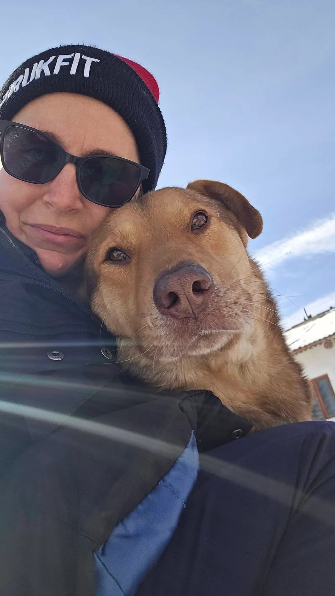 DRAGO 5672, male young mixed breed for adoption at No Limit Pets, Romania