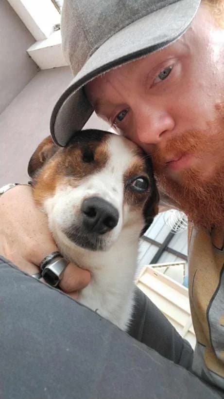 KONNY 8158 – ADOPTAT, male mixed breed for adoption at No Limit Pets