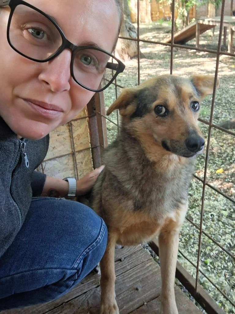 LAURIN 3817, male young mixed breed for adoption at No Limit Pets, Romania