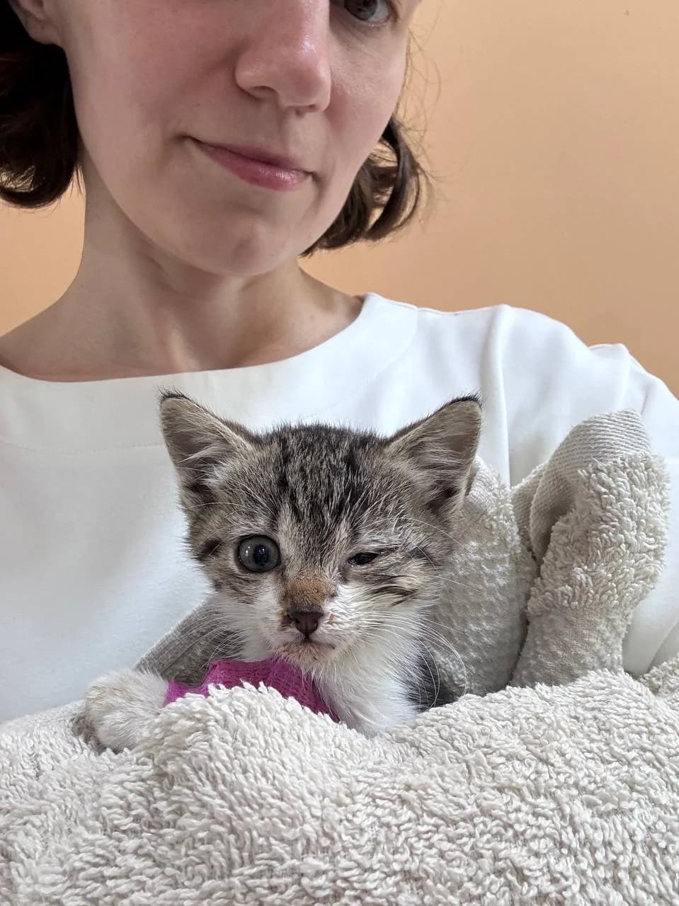 VISHNYA,  Mixed Breed for adoption at Purrmačka, Belgrade
