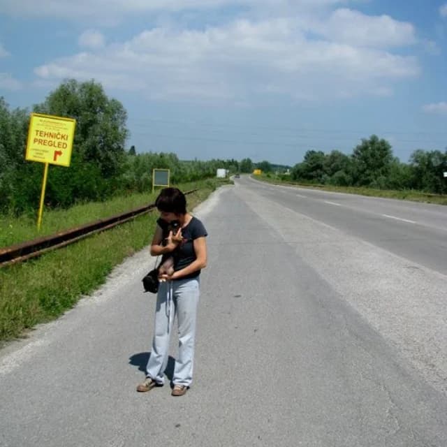 Rita,  Mixed Breed for adoption at Udruženje za zaštitu životinja SPANS