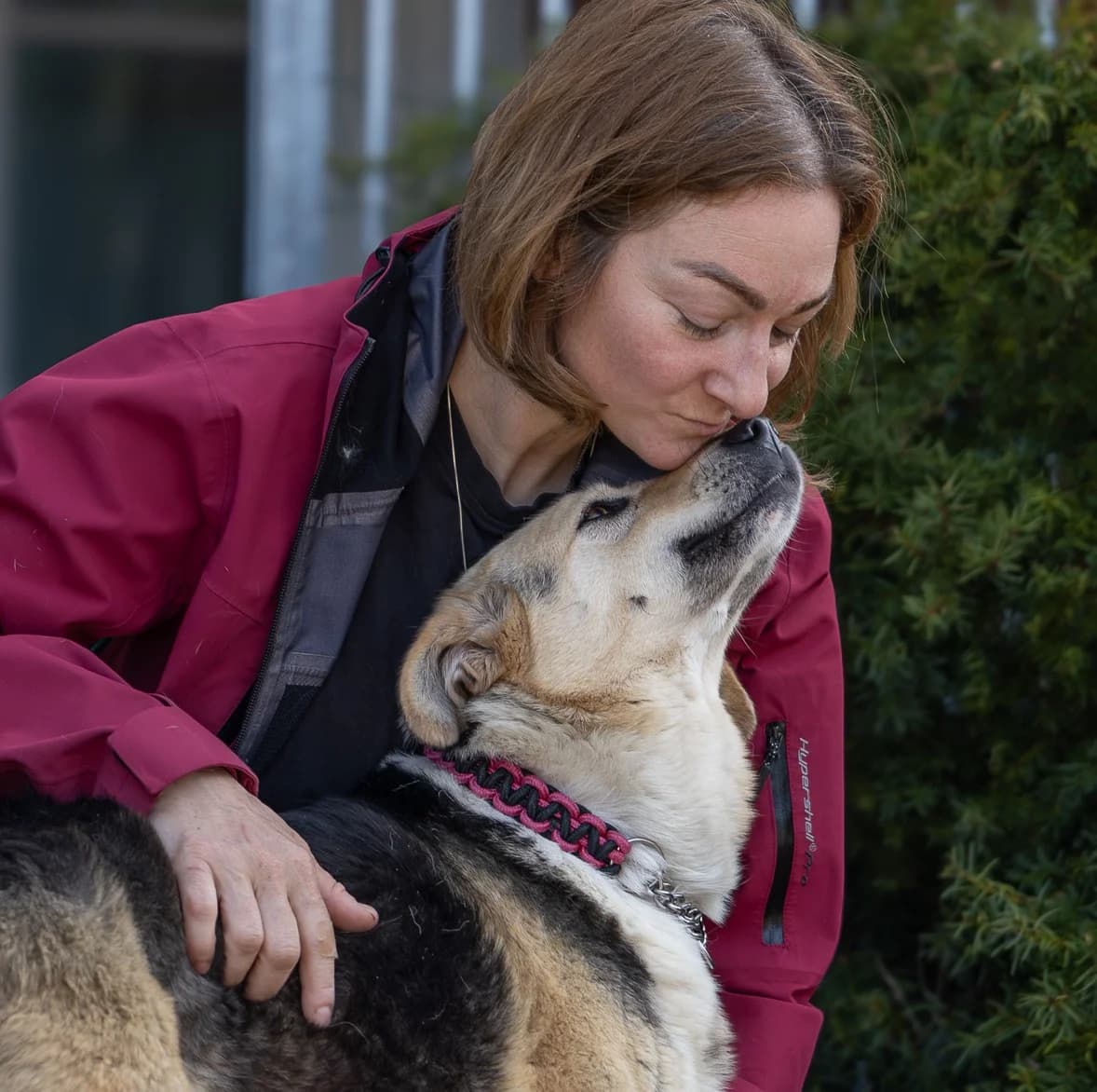 Gerda (25-389), female 7yo Mixed Breed for adoption at Amazing Friends, Säter