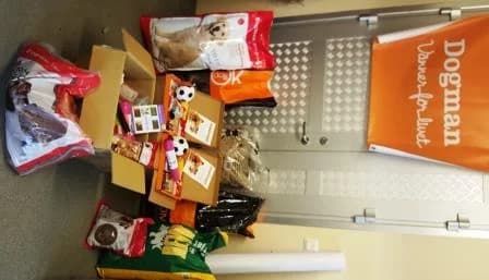 Dogman.se sponsrar SPCA Sweden,  Mixed Breed for adoption at SPCA Sweden, Örkelljunga