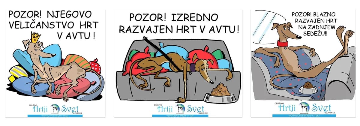 Hrtje nalepke,  mixed breed for adoption at Hrtji Svet, Ljubljana