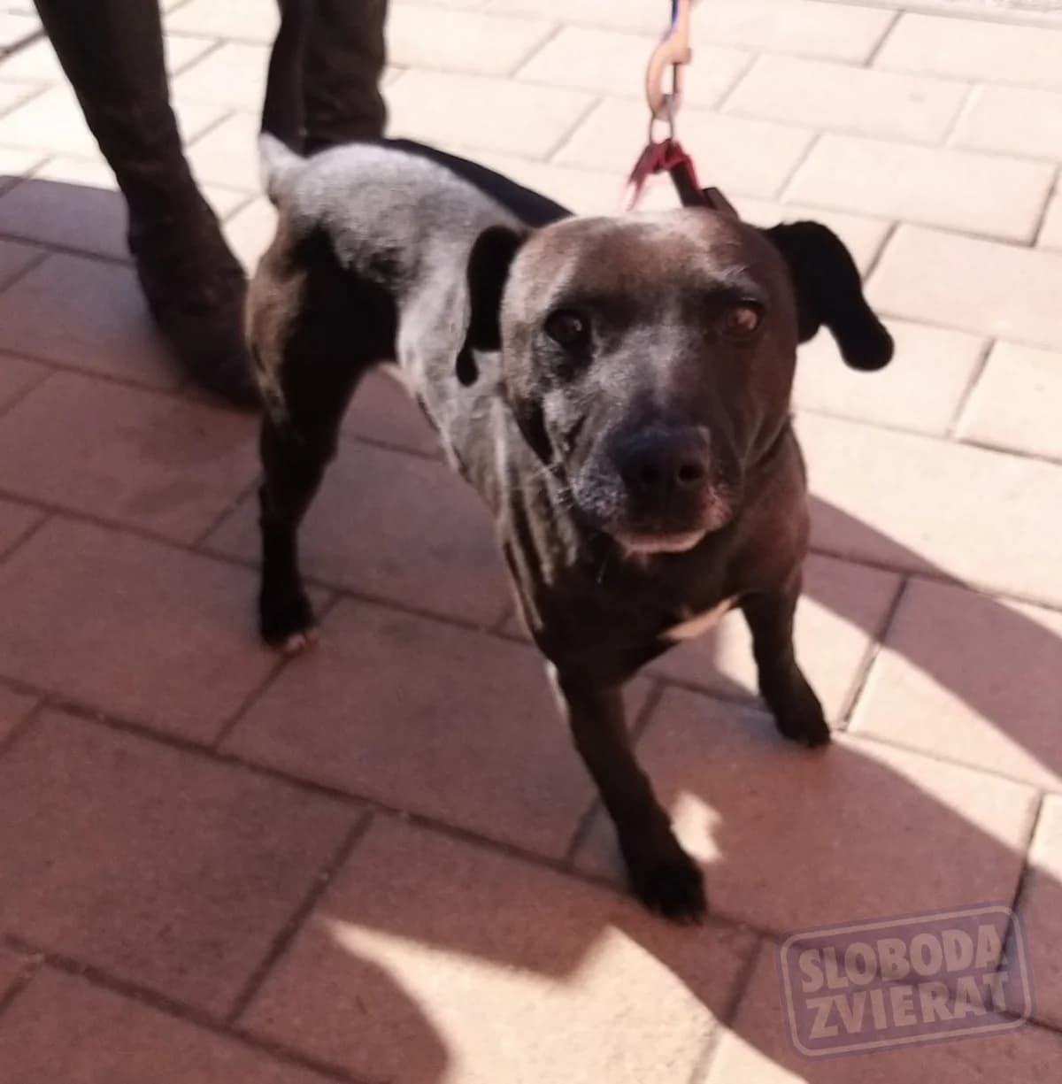 Nanuk Defense photo 2