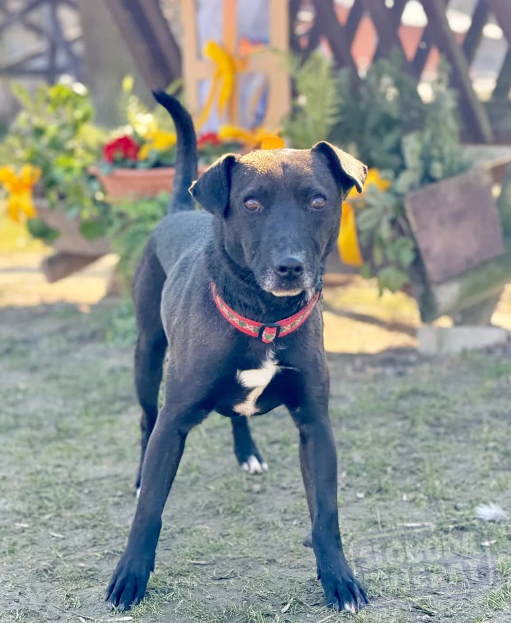 Nanuk Defense photo 3