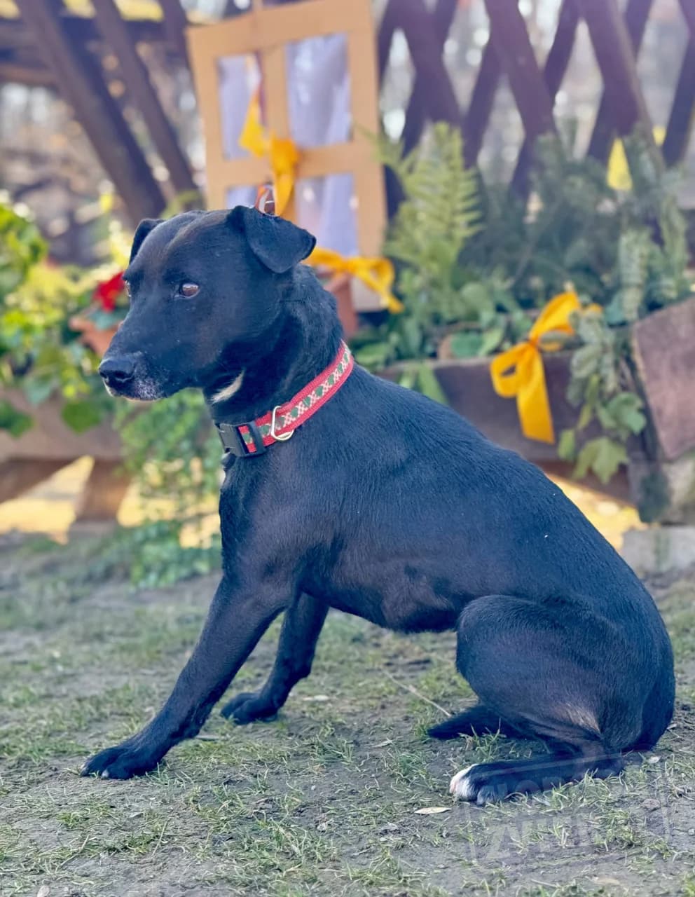 Nanuk Defense photo 4