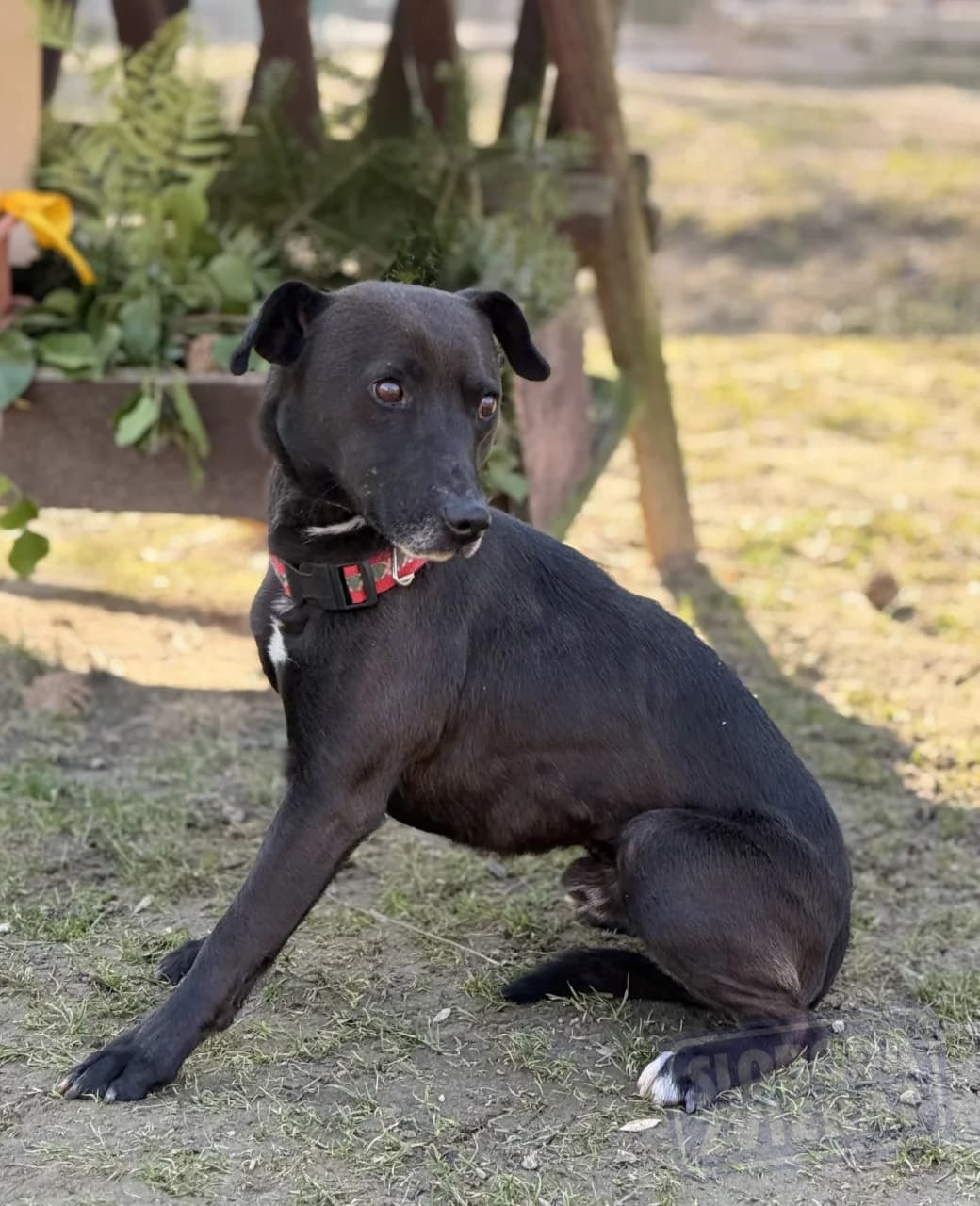 Nanuk Defense photo 5