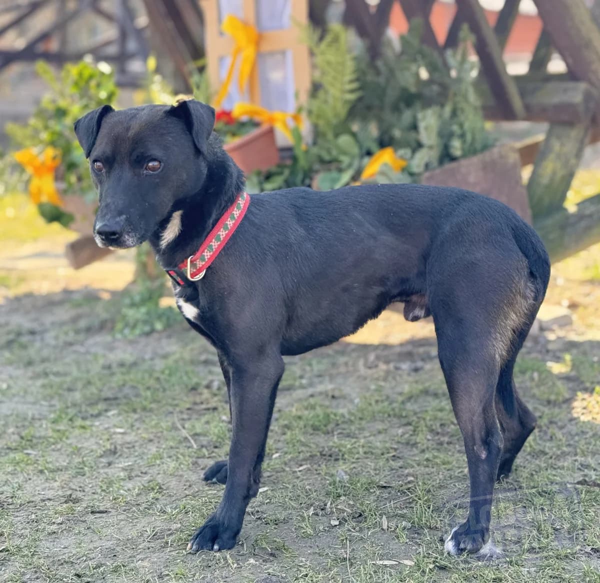 Nanuk Defense photo 6